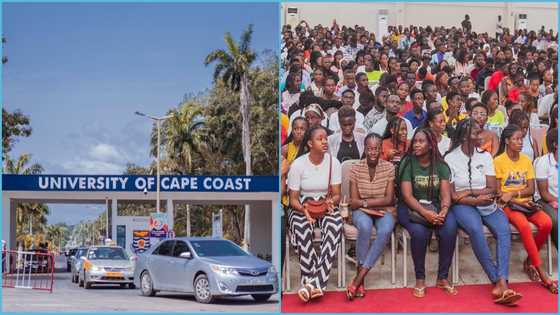 UBIDS students portal: Registration, login, course admission list - YEN ...