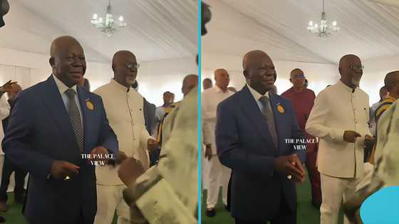Otumfuo shows off adorable dance moves at public event in South Africa, video goes viral