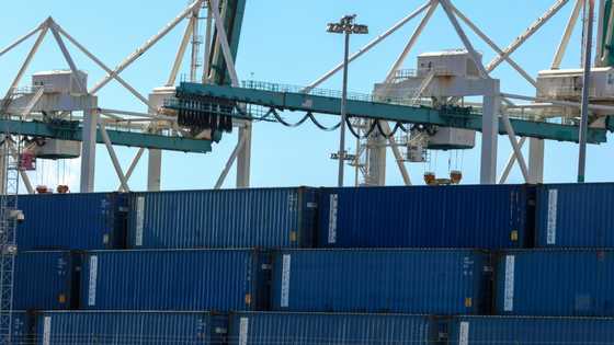 US trade deficit narrows in October as imports fall: govt
