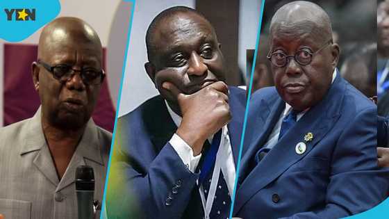 Mpiani blames Akufo-Addo for NPP's problems following Alan's resignation from party