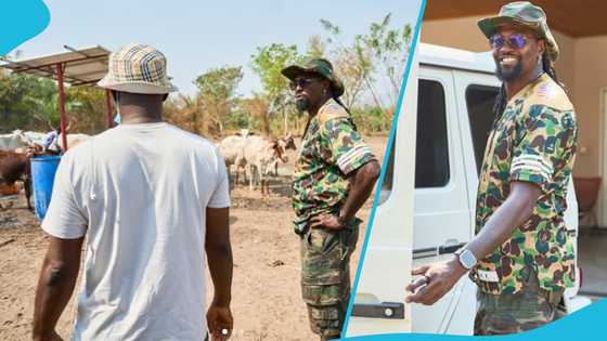 Emmanuel Adebayor ventures into farming after glittering football career