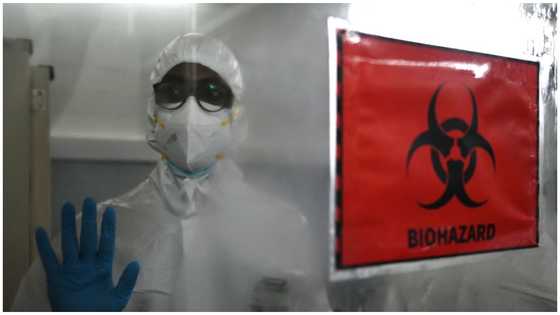 You are safe: Health Experts urge Ghanaians not to panic over Monkeypox and Marburg
