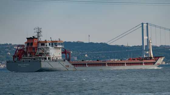 Ukraine 'optimistic' after arrival of first grain shipment