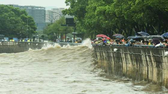 Typhoon Muifa lashes eastern China, forcing 1.6 million from their homes