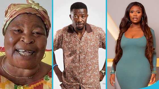 Kwaku Manu questions if Delay begged Akua Donkor for forgiveness before she passed away, peeps react