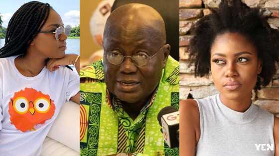 Yvonne Nelson boldly slams Akufo-Addo over petroleum prices; NPP supporters attack her choice of words