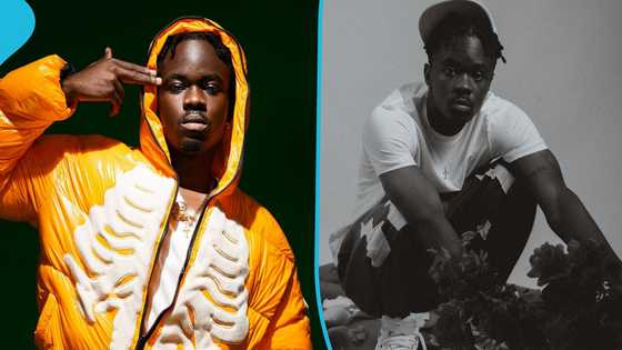 Yaw Tog jams to his newly released song in cute TikTok video
