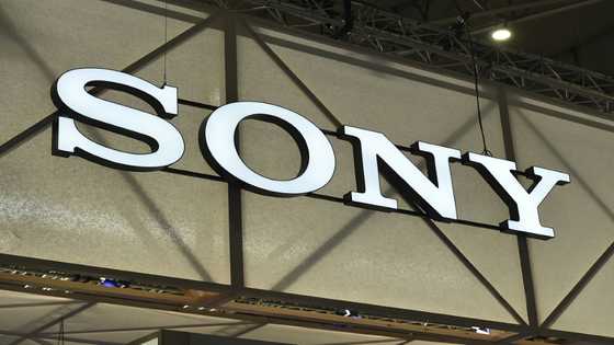 Sony 'terminates' Indian merger with Zee