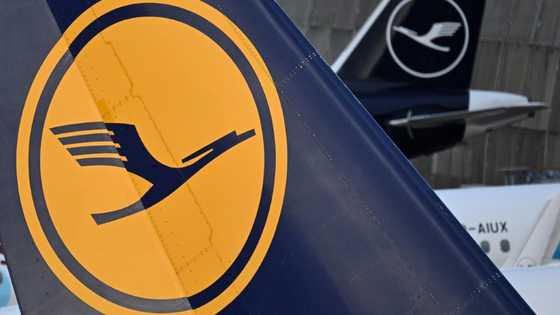 Lufthansa reports dip in profits in third quarter