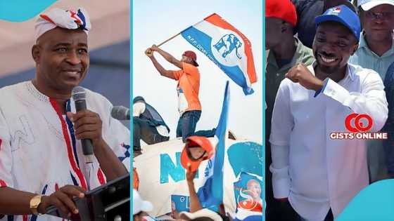 NPP’s vetting schedule for 47 national officer aspirants emerges ahead of much-anticipated internal election
