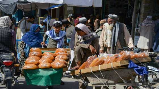 Economists urge US to return Afghanistan's frozen assets