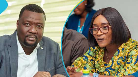 DVLA boss reacts after being blasted by Abena Osei-Asare over perceived offensive remark