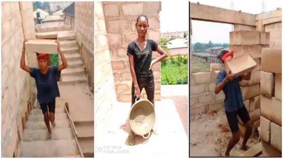Beautiful university student showcases her hustle as a labourer, photos go viral; social media reacts