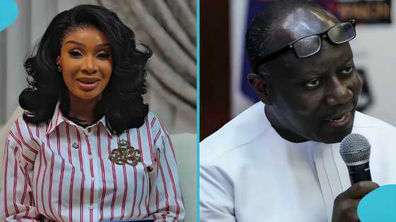 US-based immigration lawyer informs Ghanaians Ken Ofori-Atta could seek asylum; details emerge