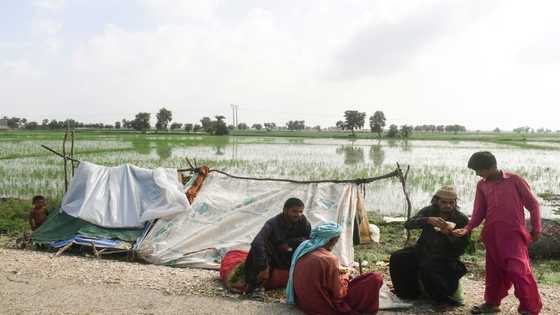Countries diverge on future climate finance at COP27