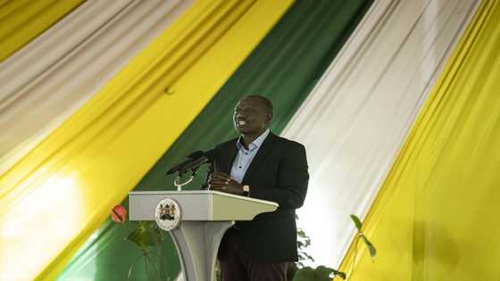 Kenya poll winner Ruto vows to respect court ruling