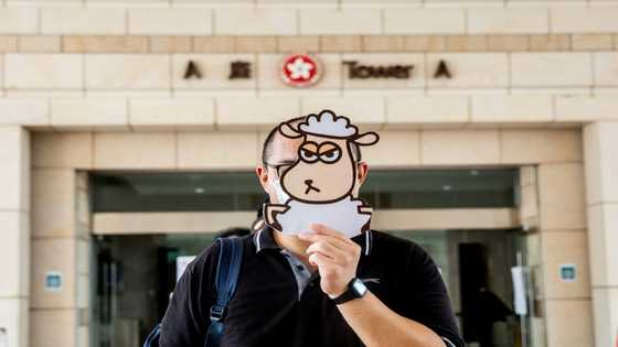 Hong Kong jails five for sedition over children's books