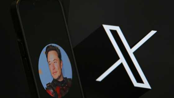 Market tracker expects brands' fear of Musk to boost X ad revenue