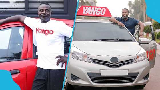 How much Yango drivers in Accra earn and the expenses shaping income