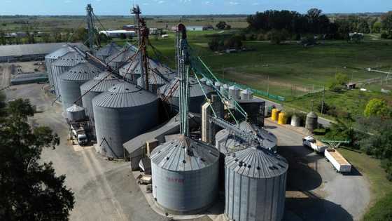 In Argentine farm town, Milei mania fizzles