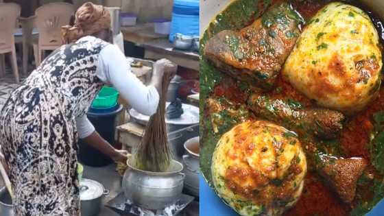 Viral video of tuo zaafi seller stirring soup with broom causes stir online; many come to her defense