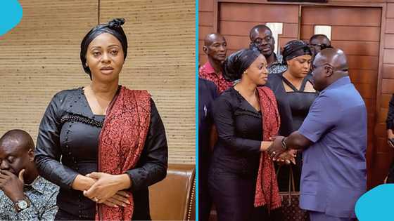 Family of Apostle Safo Kantanka calls on President Mahama at Jubilee House, photos