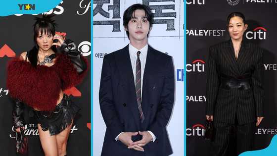 Meet the cast of K-pop Demon Hunters and the singers behind the voices