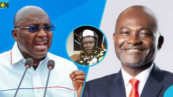 "They're all sankwas": Akyem Krontihene, Nana Boadi Obodade, blasts NPP flagbearer aspirants