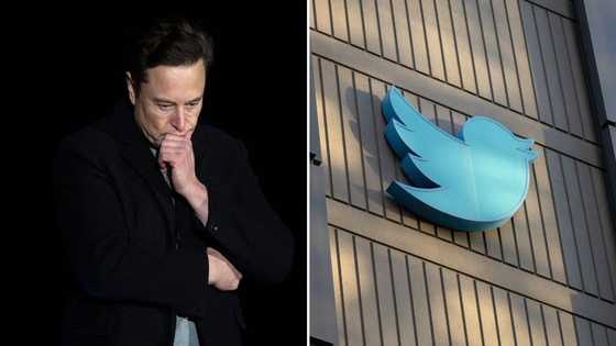 'RIP Twitter' trends as social media giant temporarily closes its doors creating panic