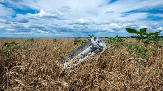 Ukraine estimates grain harvest fell around 40%