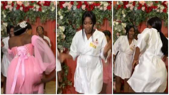 Cute bride and bridesmaids shake their bouncing behinds in adorable video, netizens drool