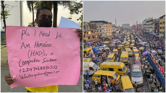 He should do business: Reactions as frustrated man hits street with placard, begs for job