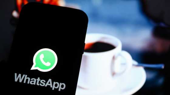 Explainer: WhatsApp users risk losing accounts over new privacy agreement