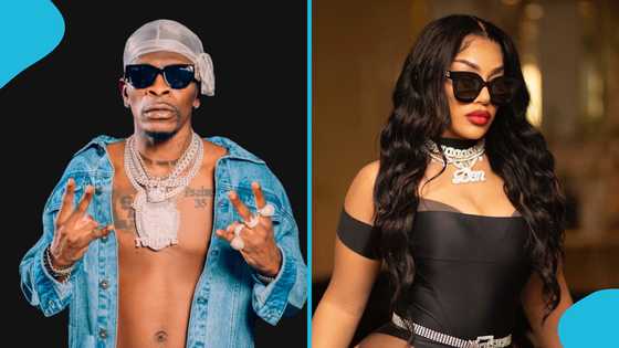 Steflon Don teases new song with Shatta Wale, drops teaser to excite fans: "Wale is Global"