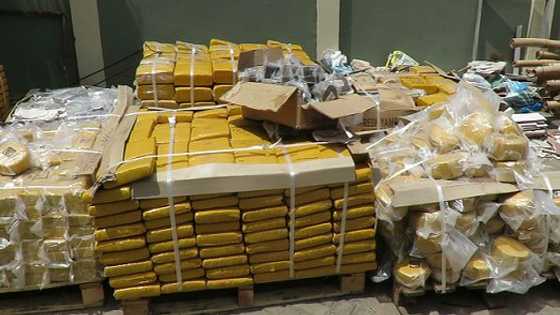 NACOB intercepts 5,851 weed slabs