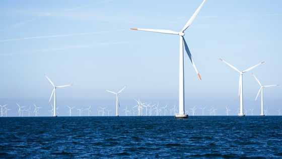 Danish wind giant sues US government over project halt