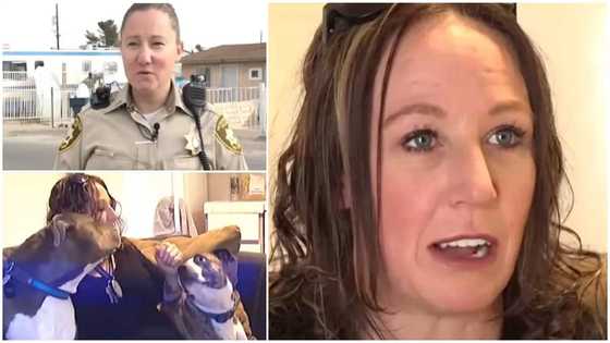 Female police officer helps homeless woman sleeping in a car for months, furnishes a new house for her
