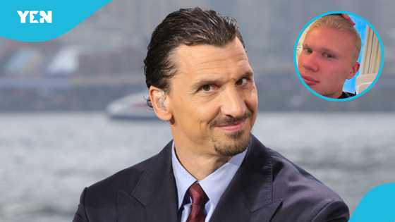 Zlatan Ibrahimovic reacts to Haaland's new look and sends him a warning: Video