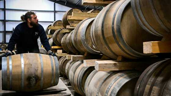 Scottish whisky makers fear return of Trump tariffs