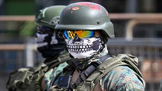 Ecuador: a new nerve center for global drug trade
