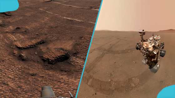 Exploring Mars: NASA’s clearest footage sparks reactions online