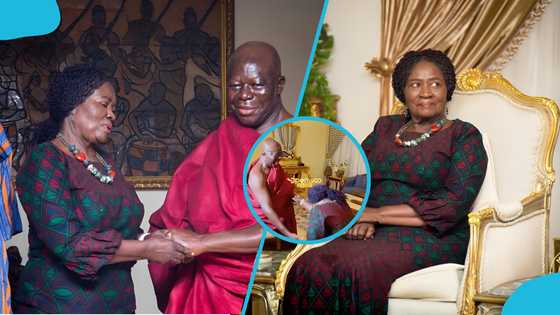 Otumfuo displays humorous side as he leaves Vice President laughing during Manhyia visit, video
