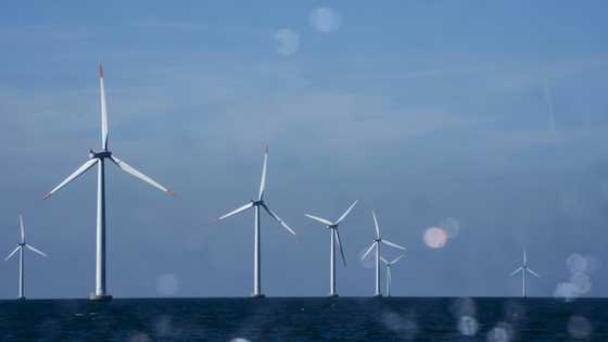 Blown off course, turbine giant Orsted seeks second wind