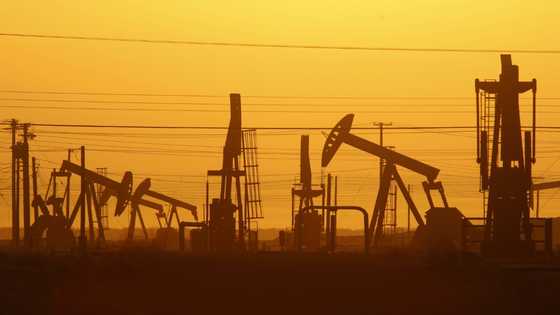Intense talks as OPEC+ meets to decide over output amid tumbling prices