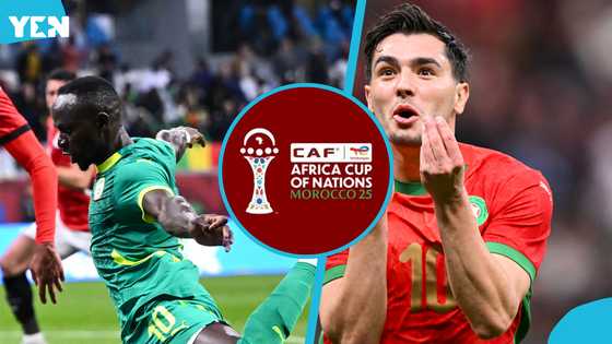 Senegal vs Morocco: Fans react in droves ahead of historic AFCON final
