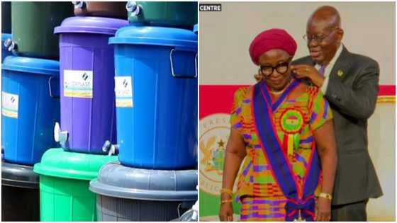 Veronica Bekoe: Talented GH creator of Veronica Bucket honoured by Akufo-Addo
