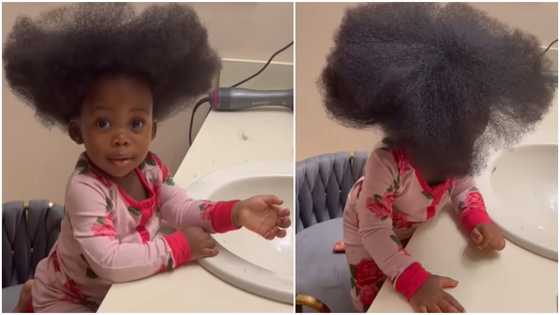 Little girl with a pretty smile flaunts thick natural hair in adorable video, people react: “She too cute”