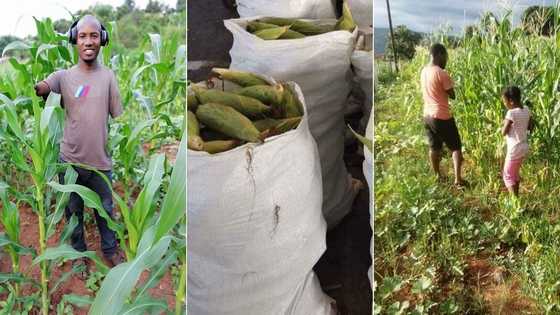 Farmer without arms, raised by single mom inspires Mzansi with success