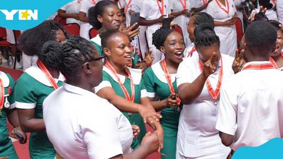 Nursing student fees reduced by 50% under popular No-Fee-Stress Policy