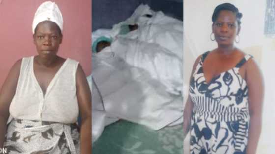 Joy as Ghanaian woman becomes first-time mother after welcoming 4 babies at once; photos, video pop up